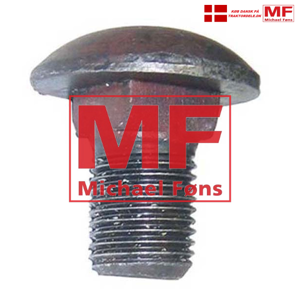 Sdeskls-bolt med skive og mtrik, gr Ferguson