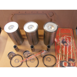 Motor-renoverings-s�t UDEN lejer, Volvo Boxer og T600