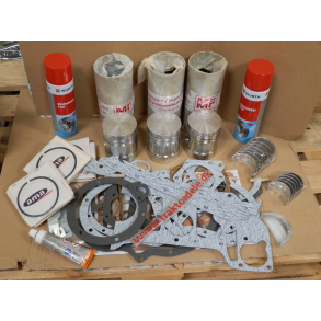 Motor-renoverings-st, Fordson Dexta diesel. Med fl. pakning, 2xbremserens og lsebliks-st.